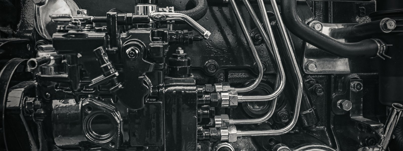 Motion Amplification